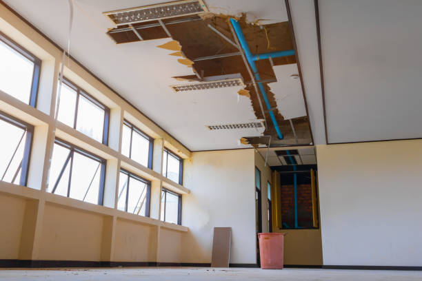 Best Water damage restoration near me  in Catlettsburg, KY