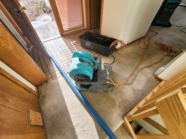 Water damage restoration insurance claims in KY