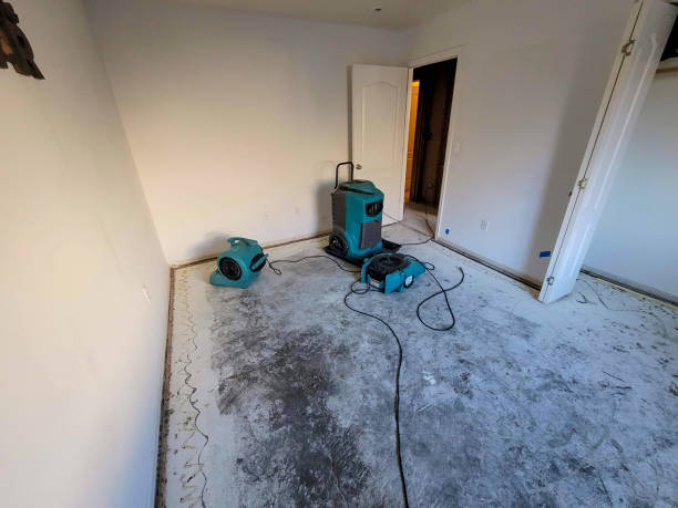 Best Residential water damage restoration  in Catlettsburg, KY