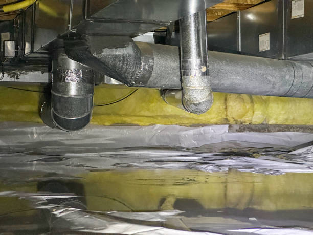 Best Water damage restoration company  in Catlettsburg, KY
