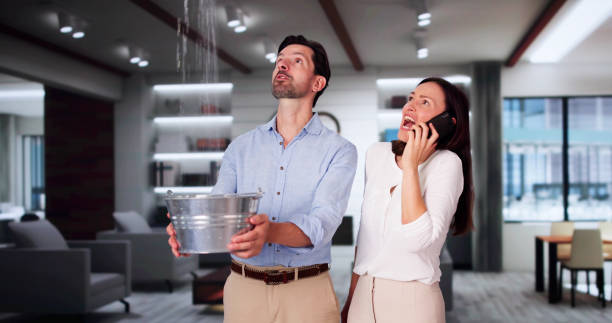Best Flood restoration services  in Catlettsburg, KY
