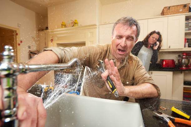 Best Basement water damage restoration  in Catlettsburg, KY
